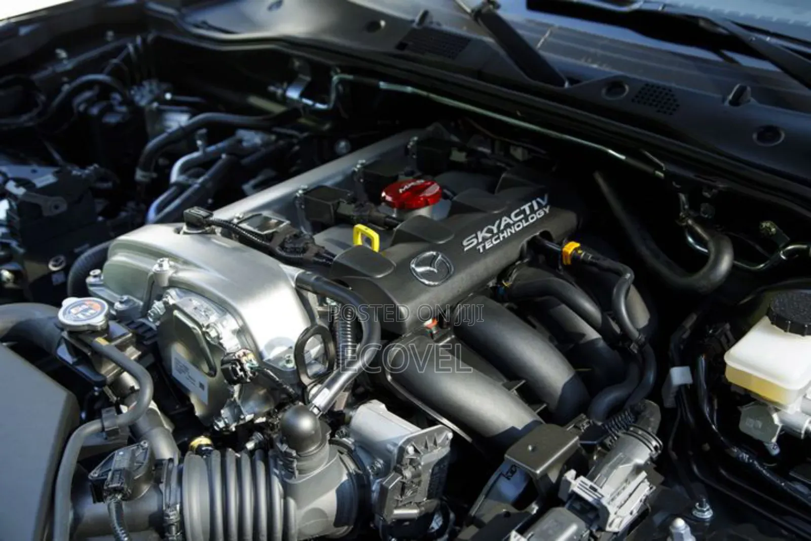 Mazda Cars Specialist -Repairs and Maintenance