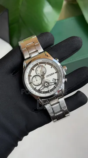 Citizen Chronograph Valentine Gift Watch