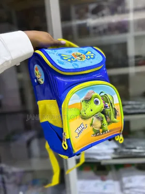 Cartoon Themed School Box Bags