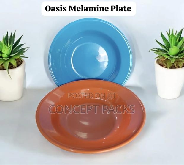 120pcs Orange and Blue Oasis Melamine Plate Po-22