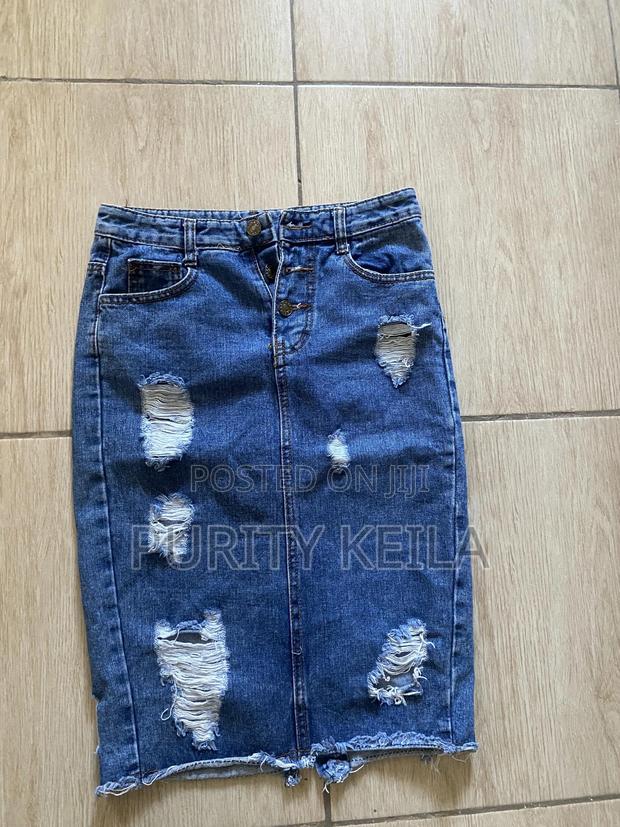 Fashionable Skirt
