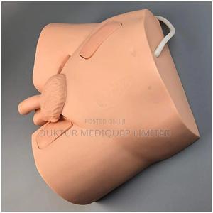 Male Urethral Catheterization - main view