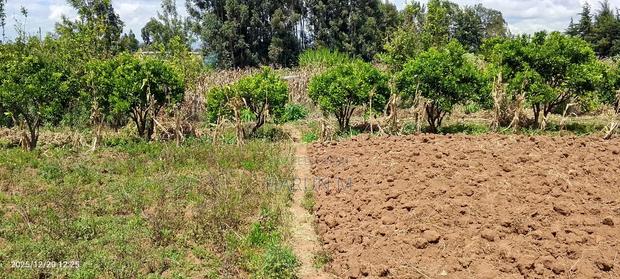 Prime Plots for Sale - thumbnail 3