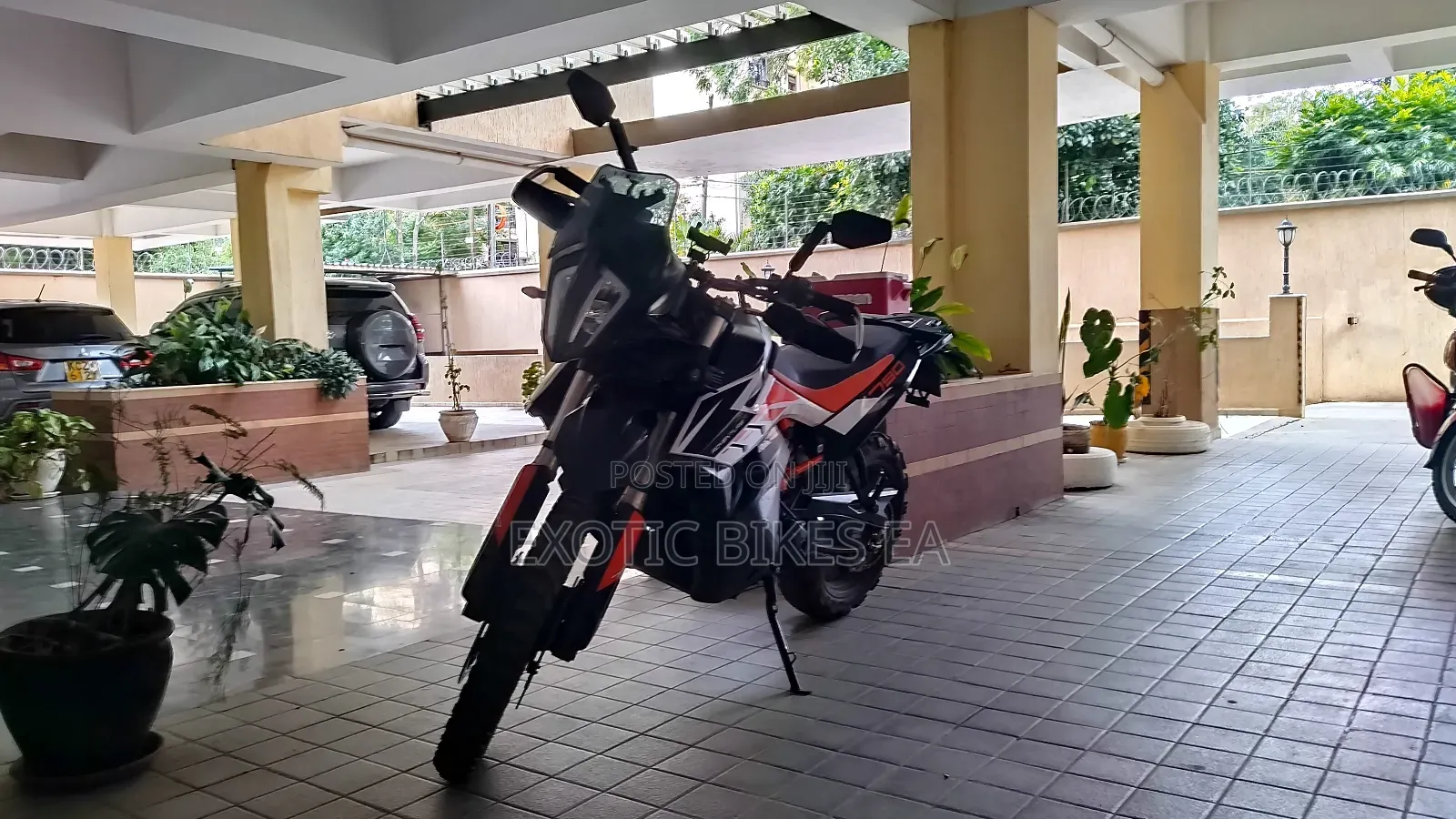 KTM 2019 White