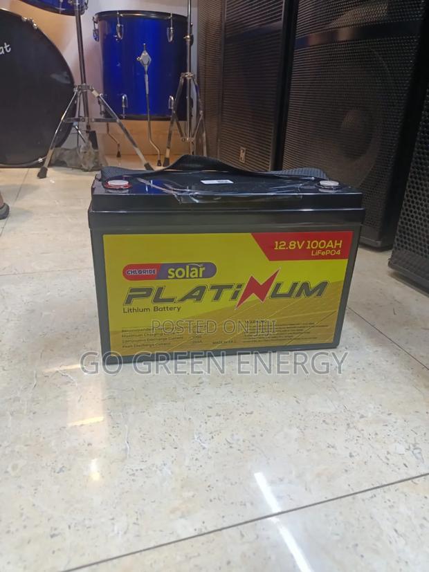 100ah 12 8v Platinum Lithium Battery - thumbnail 2