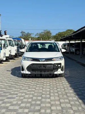 Toyota Axio 2019 White