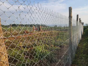 ​Riat Hills: An Address of Distinction Unmatched Views