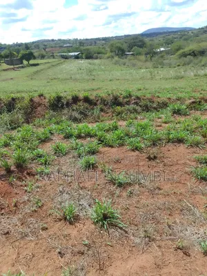 2 Acres at Machakos Katumani