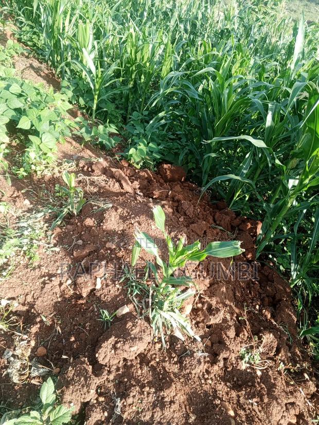3 Acres at Machakos Mang'auni - thumbnail 3