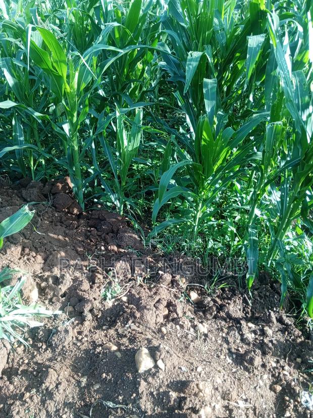 3 Acres at Machakos Mang'auni - thumbnail 6