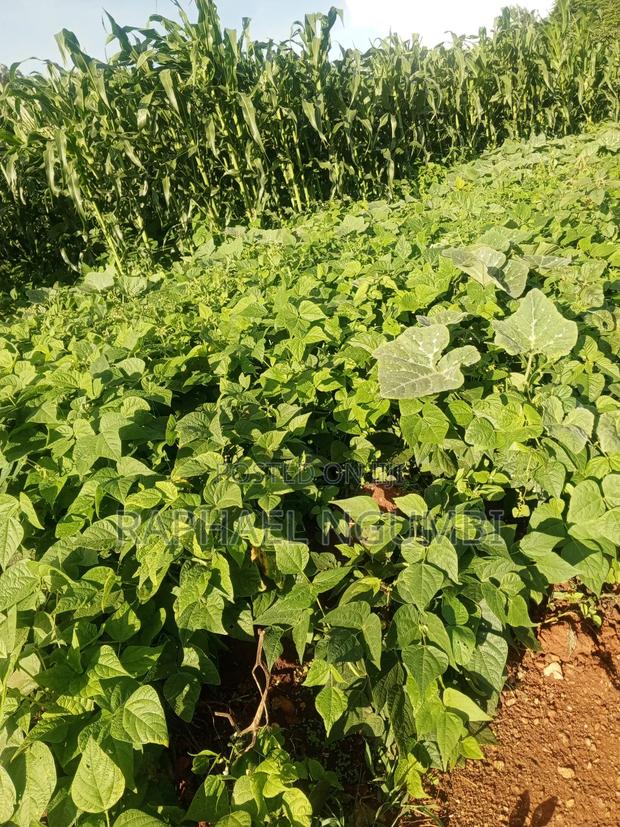 3 Acres at Machakos Mang'auni - thumbnail 7
