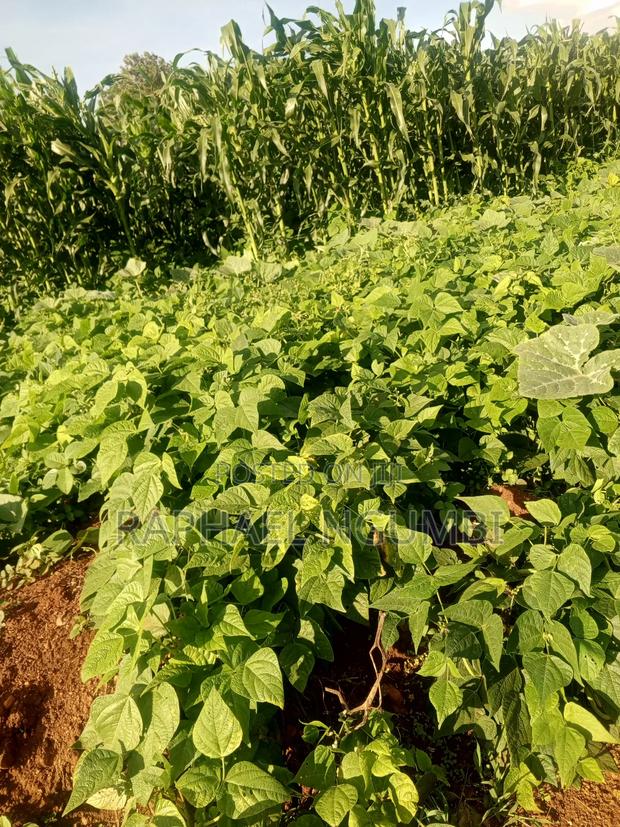 3 Acres at Machakos Mang'auni - thumbnail 8