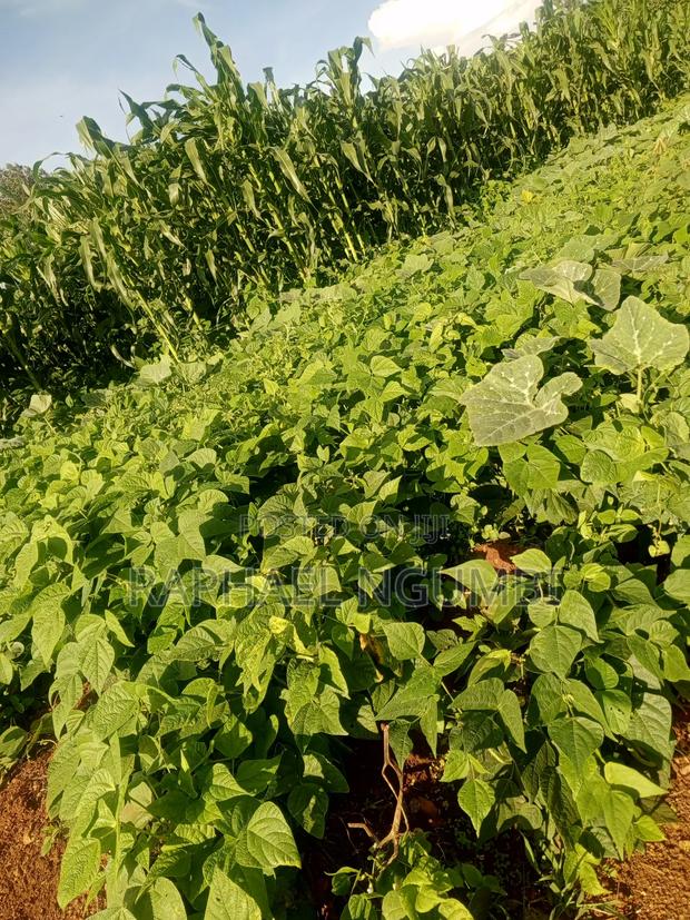 3 Acres at Machakos Mang'auni - thumbnail 9