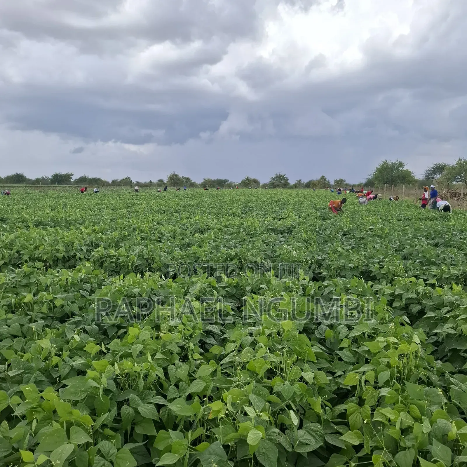 40 Acres at Kiboko - Emali Mombasa Road