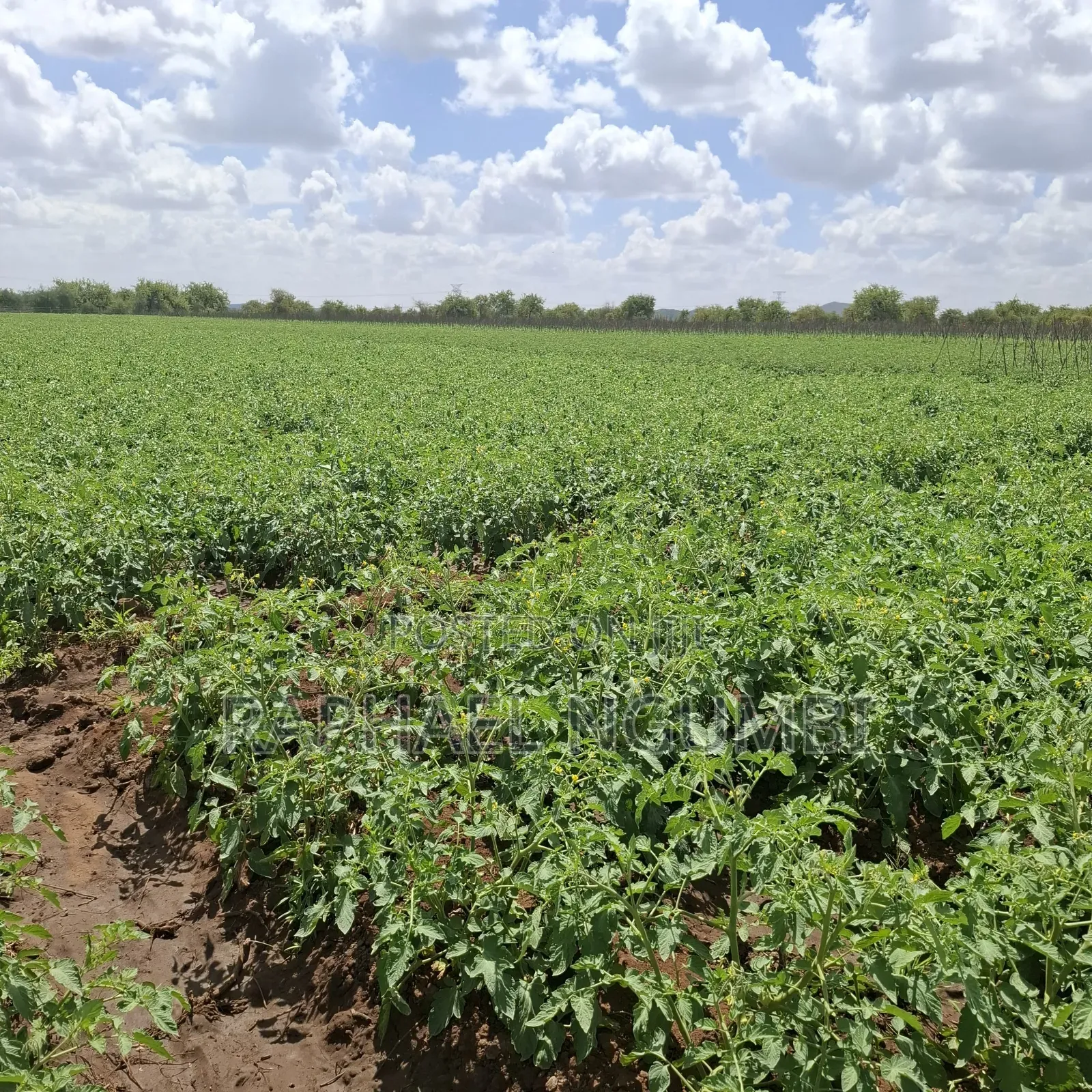 40 Acres at Kiboko - Emali Mombasa Road