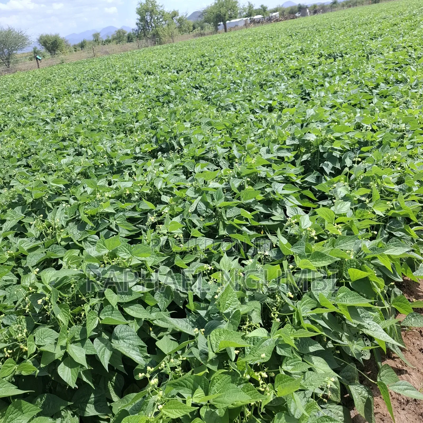 40 Acres at Kiboko - Emali Mombasa Road