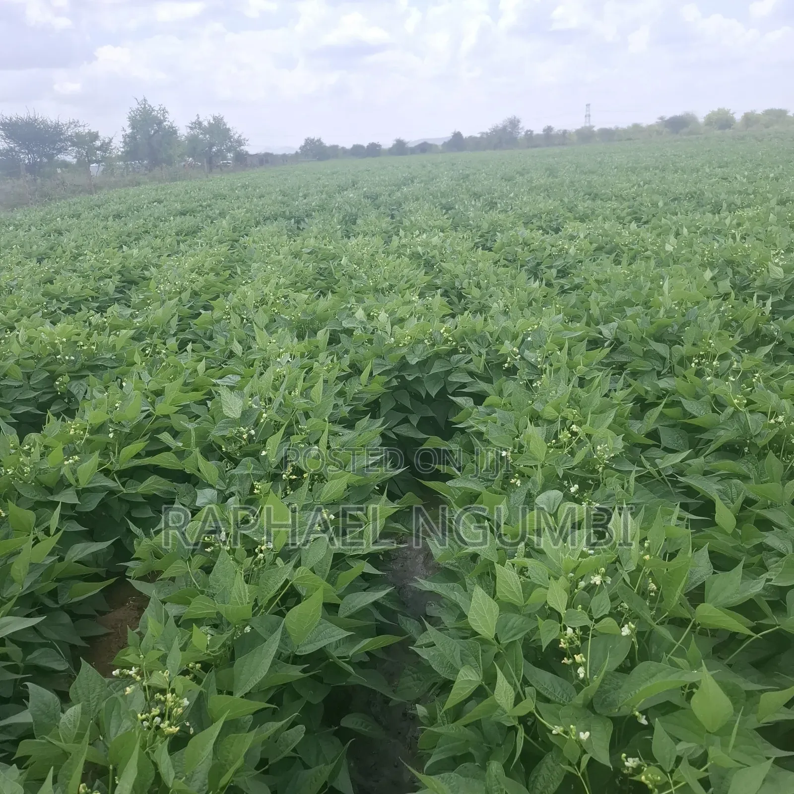 40 Acres at Kiboko - Emali Mombasa Road