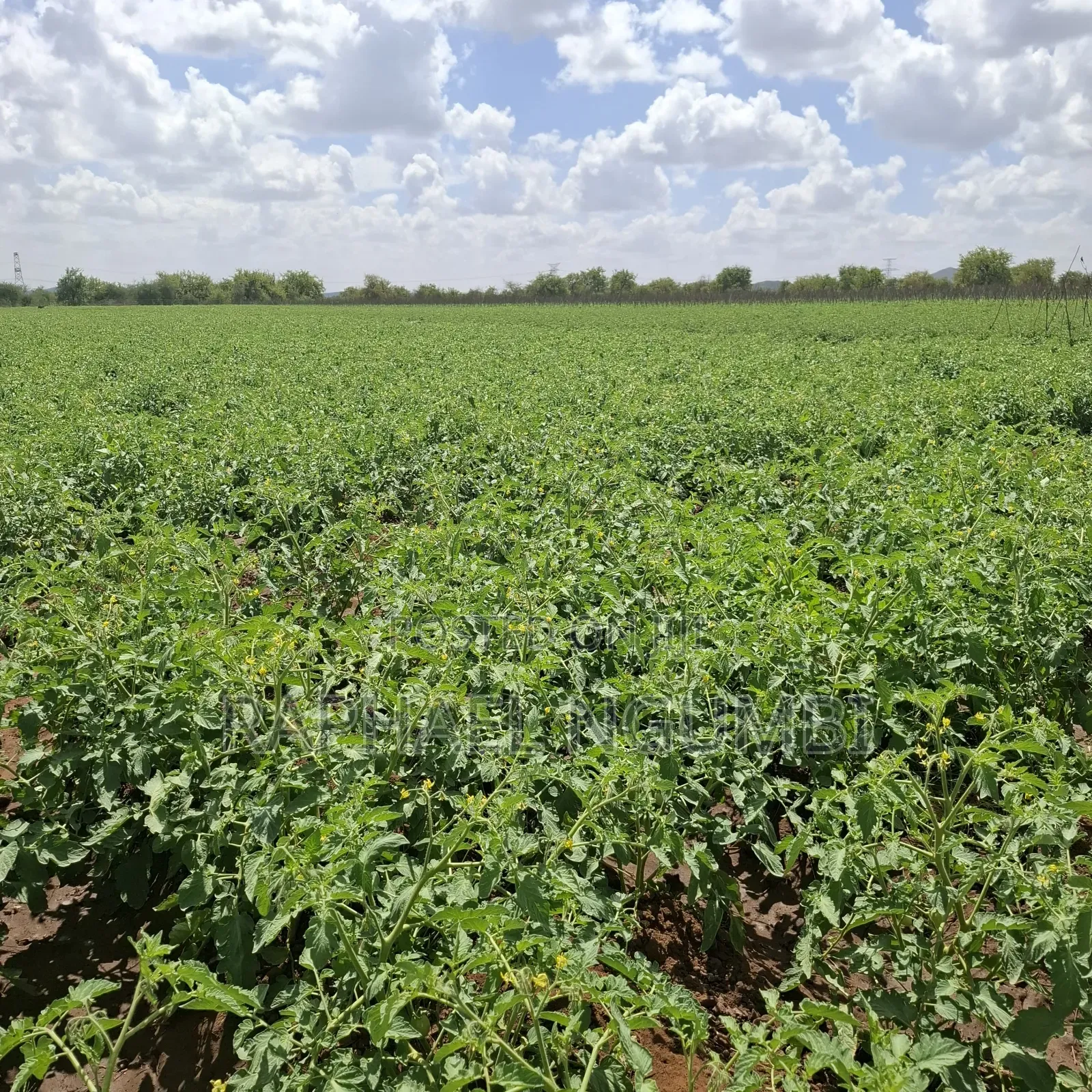 40 Acres at Kiboko - Emali Mombasa Road