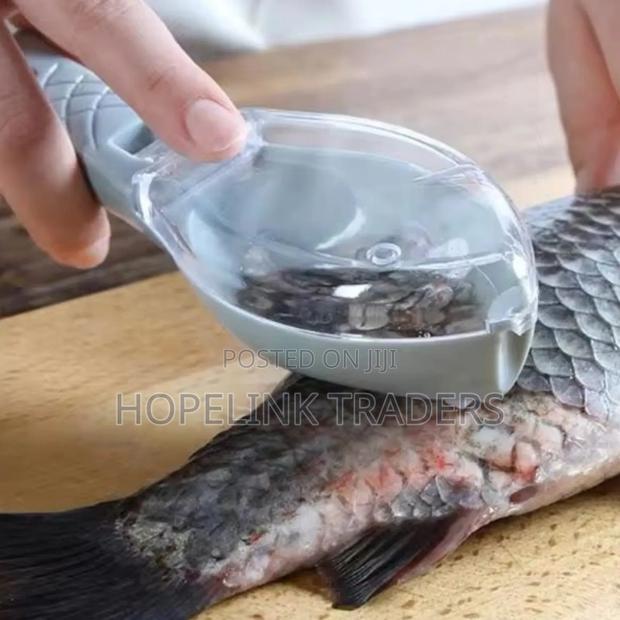 Fish Scrapper Scale - main view