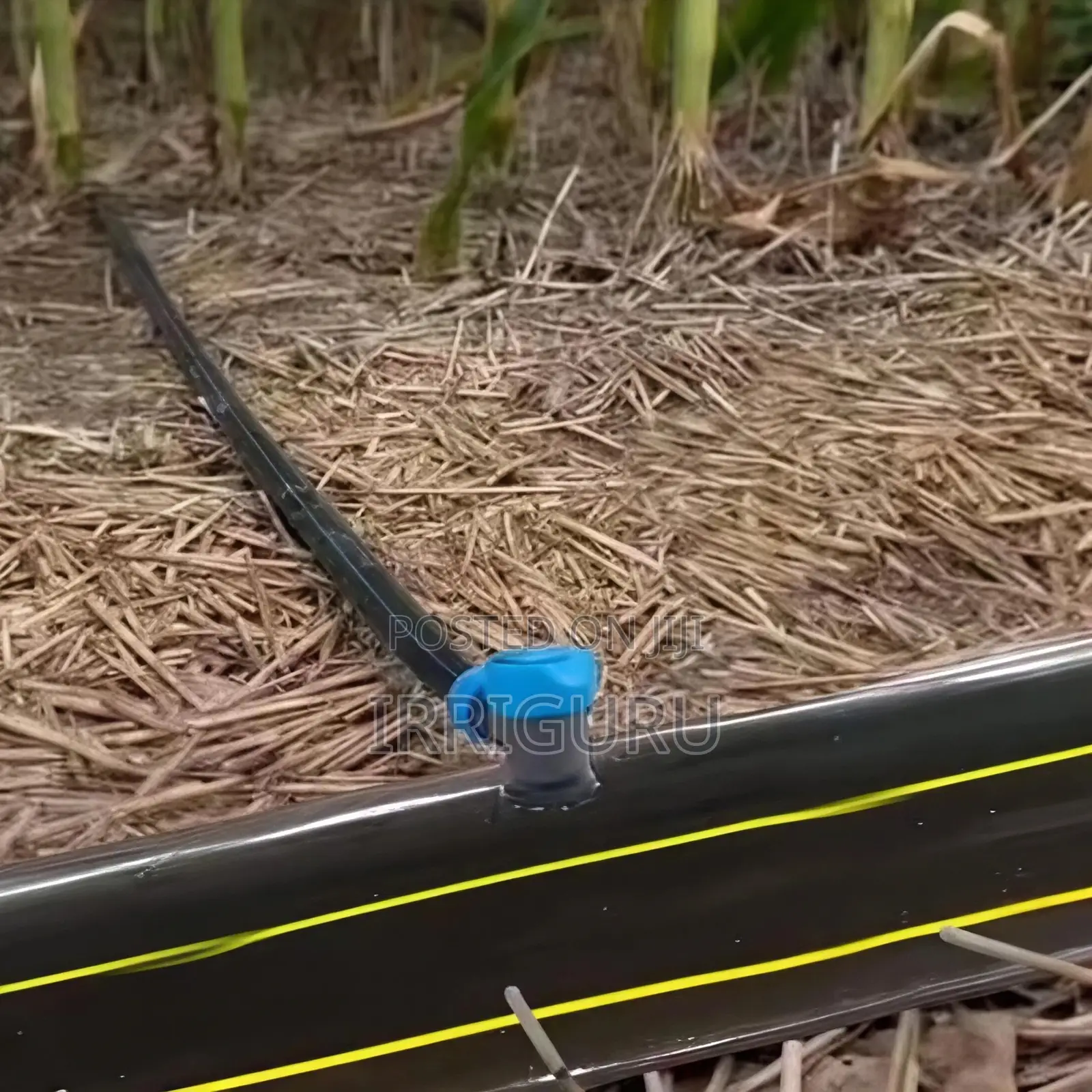 Single or Double Outlets, Your Choice—A New Realm of Smart Irrigation