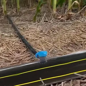 Single or Double Outlets, Your Choice—A New Realm of Smart Irrigation