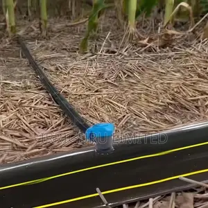 Single or Double Outlets, Your Choice—A New Realm of Smart Irrigation