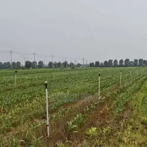 Intelligent Irrigation, With a New Type of Material for Flat-Surface