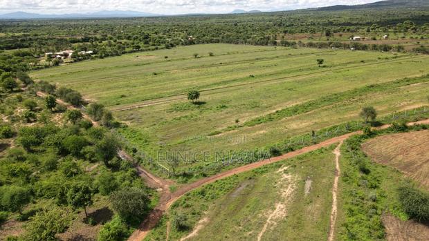 Joy Gardens - thumbnail 5