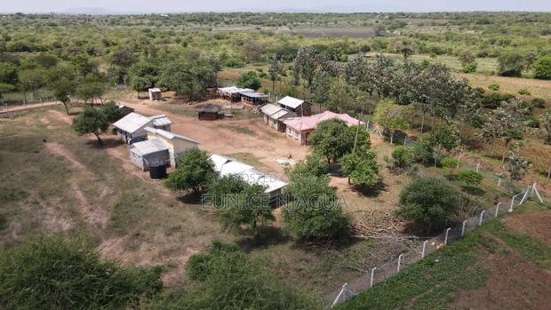 Joy Gardens - thumbnail 6