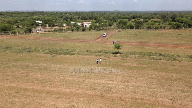 Joy Gardens - thumbnail 7