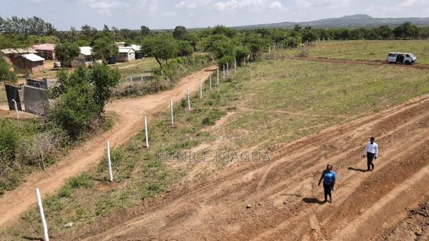 Joy Gardens - thumbnail 8