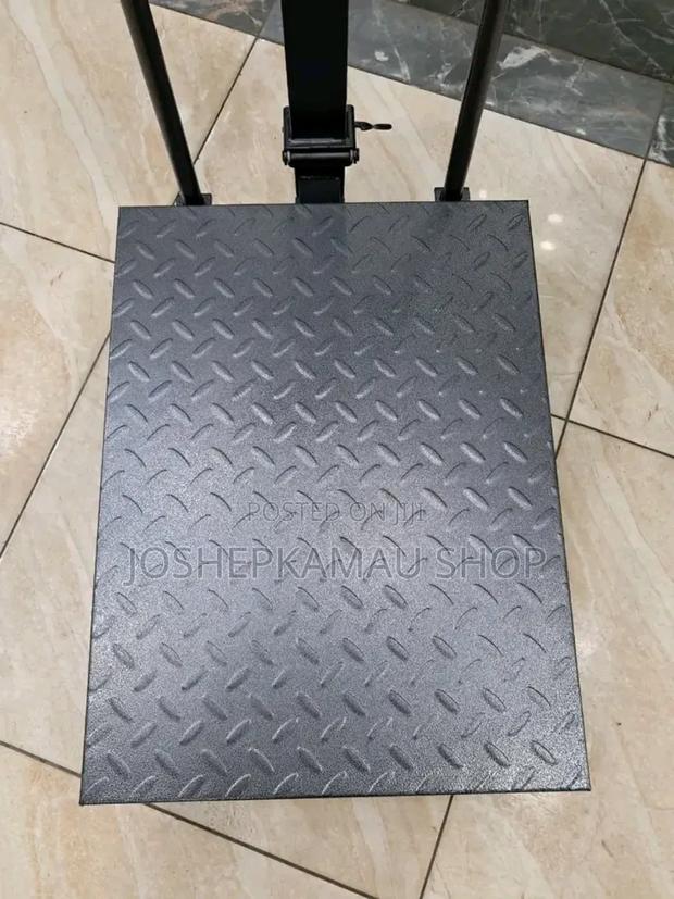 300 Kgs Digital Platform - main view