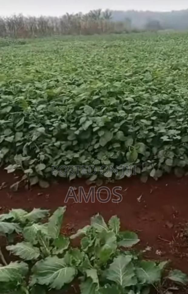 Very Prime 6 Acre in Gikuni Town Lower Kabete