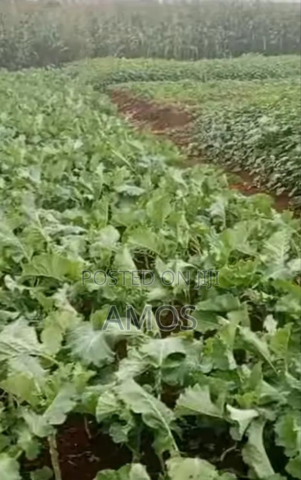 Very Prime 6 Acre in Gikuni Town Lower Kabete - thumbnail 2