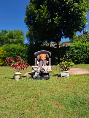 Newborn Trolley