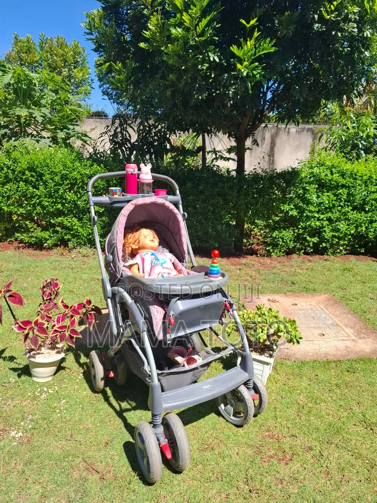 Newborn Trolley