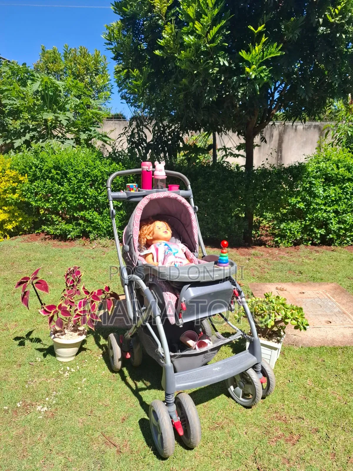Newborn Trolley