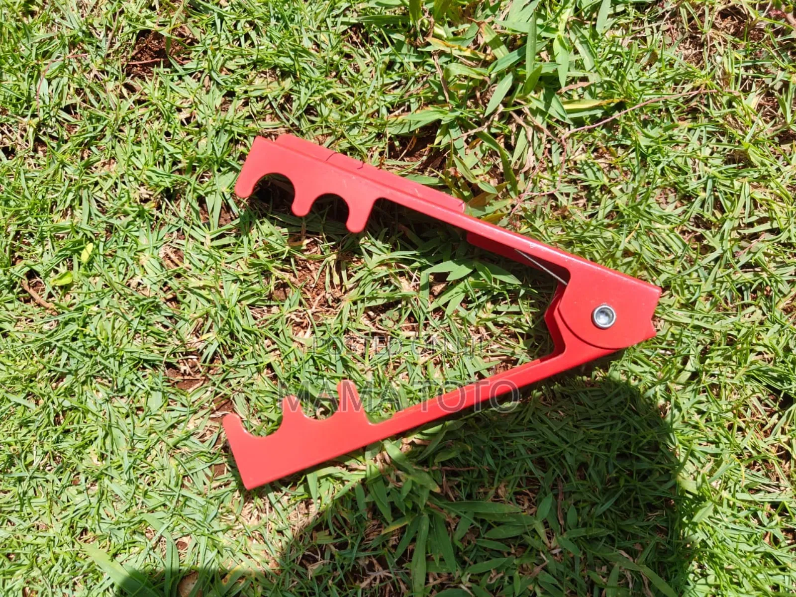 Thorn Stripper/ Remover