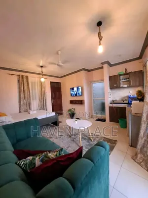 Studio and One Bedroom in Roysambu Lumumba Drive,Fedha(Tsavo)