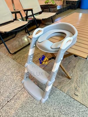 Quality Gray Kids Toilet Training Seat With a Ladder Cf3w