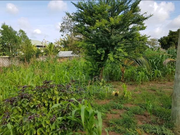 Land for Sale - thumbnail 2