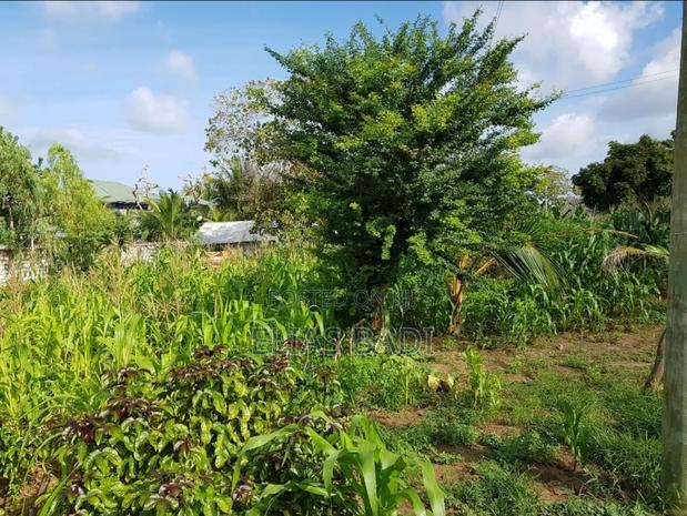 Land for Sale - thumbnail 3