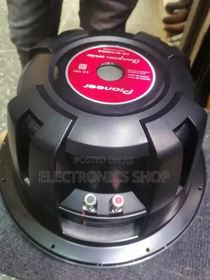 Boom Bass 12inch Pioneer Speaker