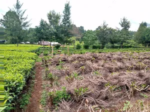 Land for Sale at Kapsuser