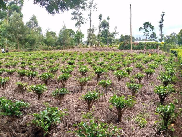 Land for Sale at Kapsuser - thumbnail 6