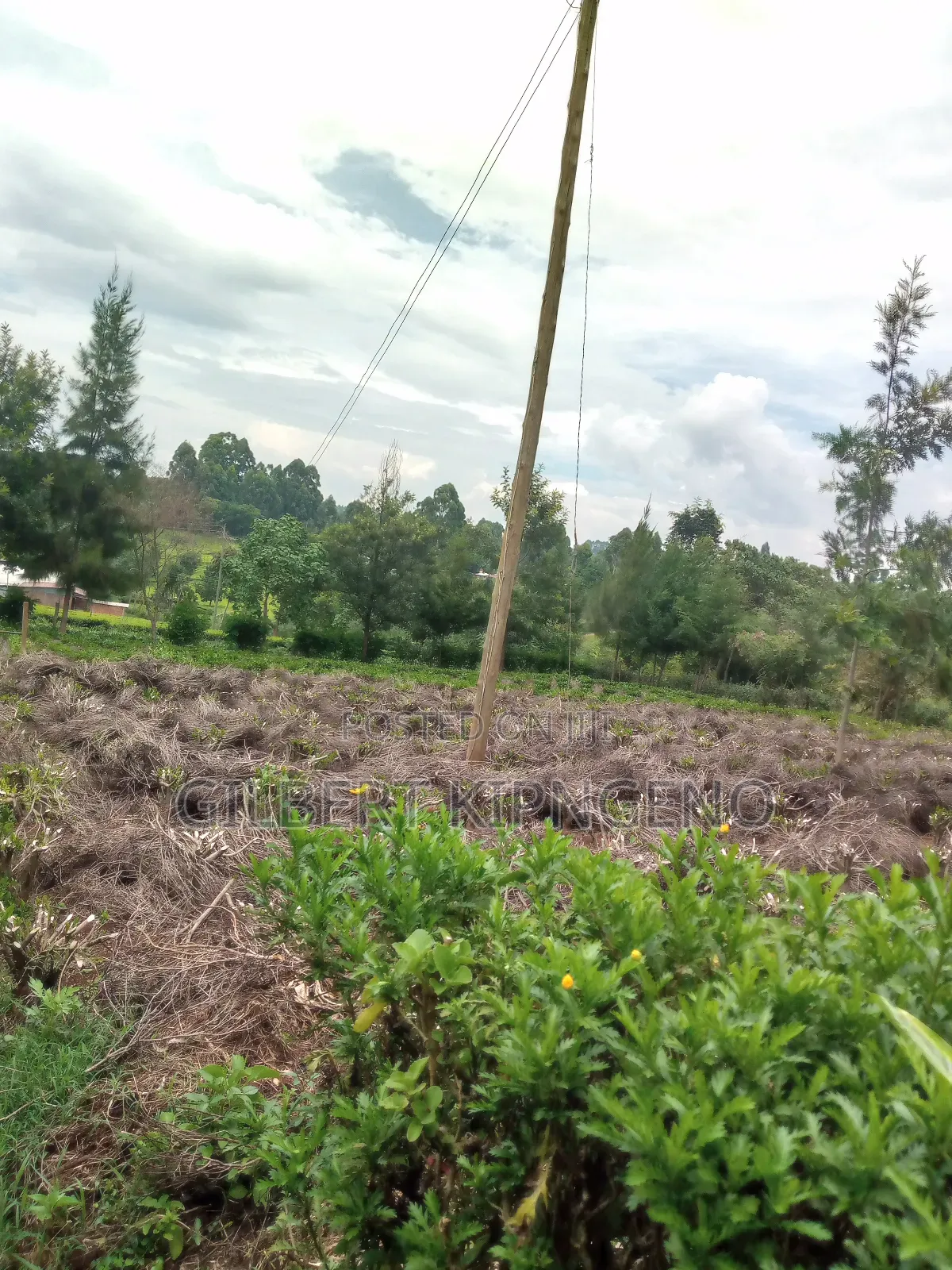 Land for Sale at Kapsuser