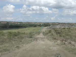 Jujafarm 3 Acres 1/4 for Sale.