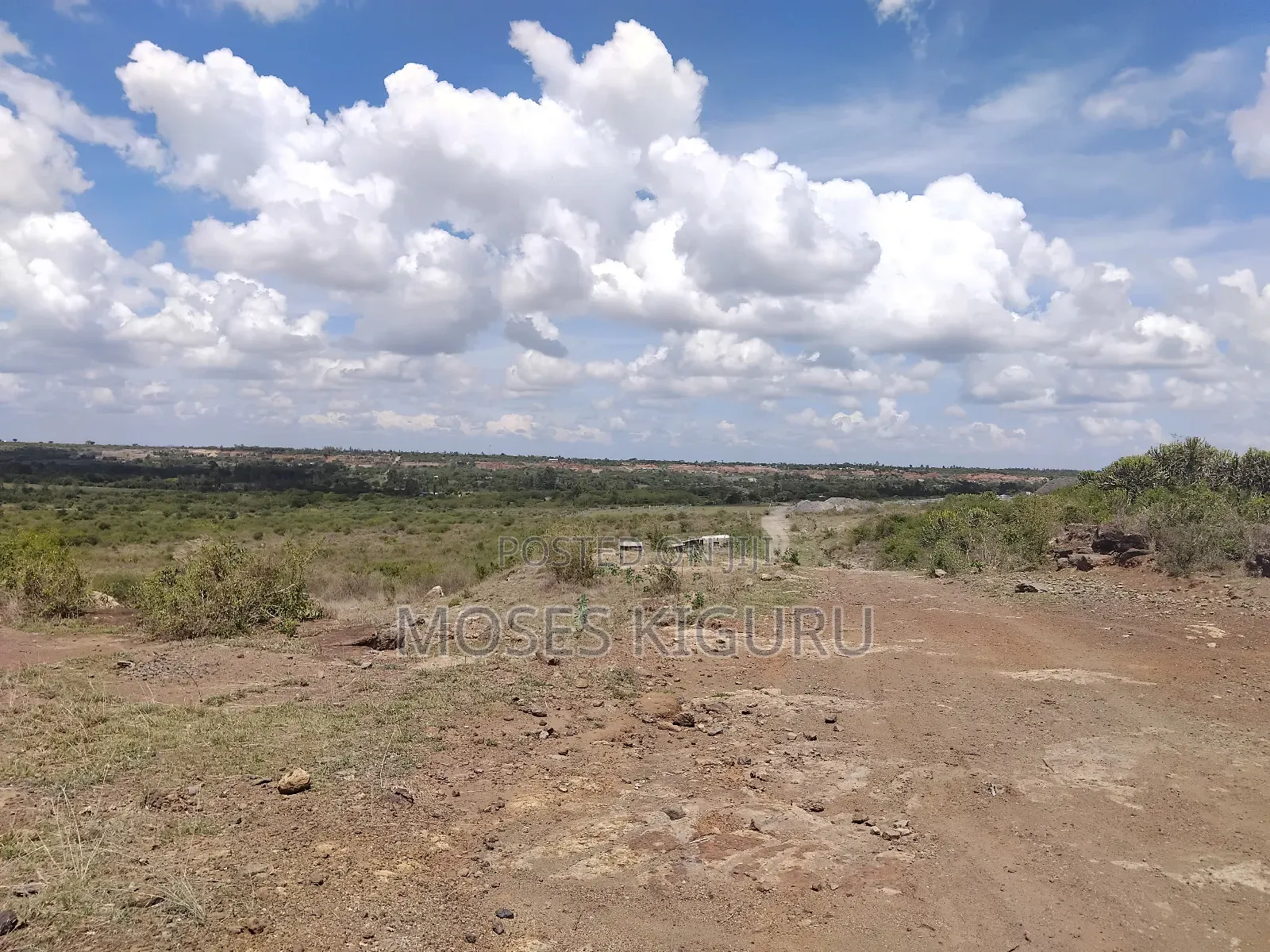 Jujafarm 3 Acres 1/4 for Sale.