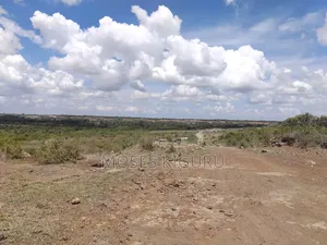 Jujafarm 3 Acres 1/4 for Sale.