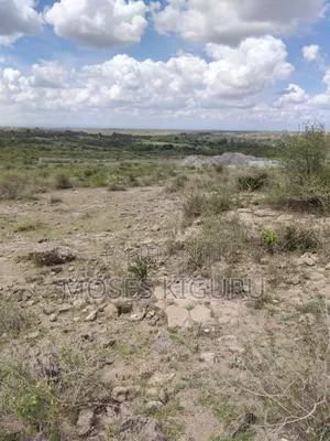 Jujafarm 3 Acres 1/4 for Sale.